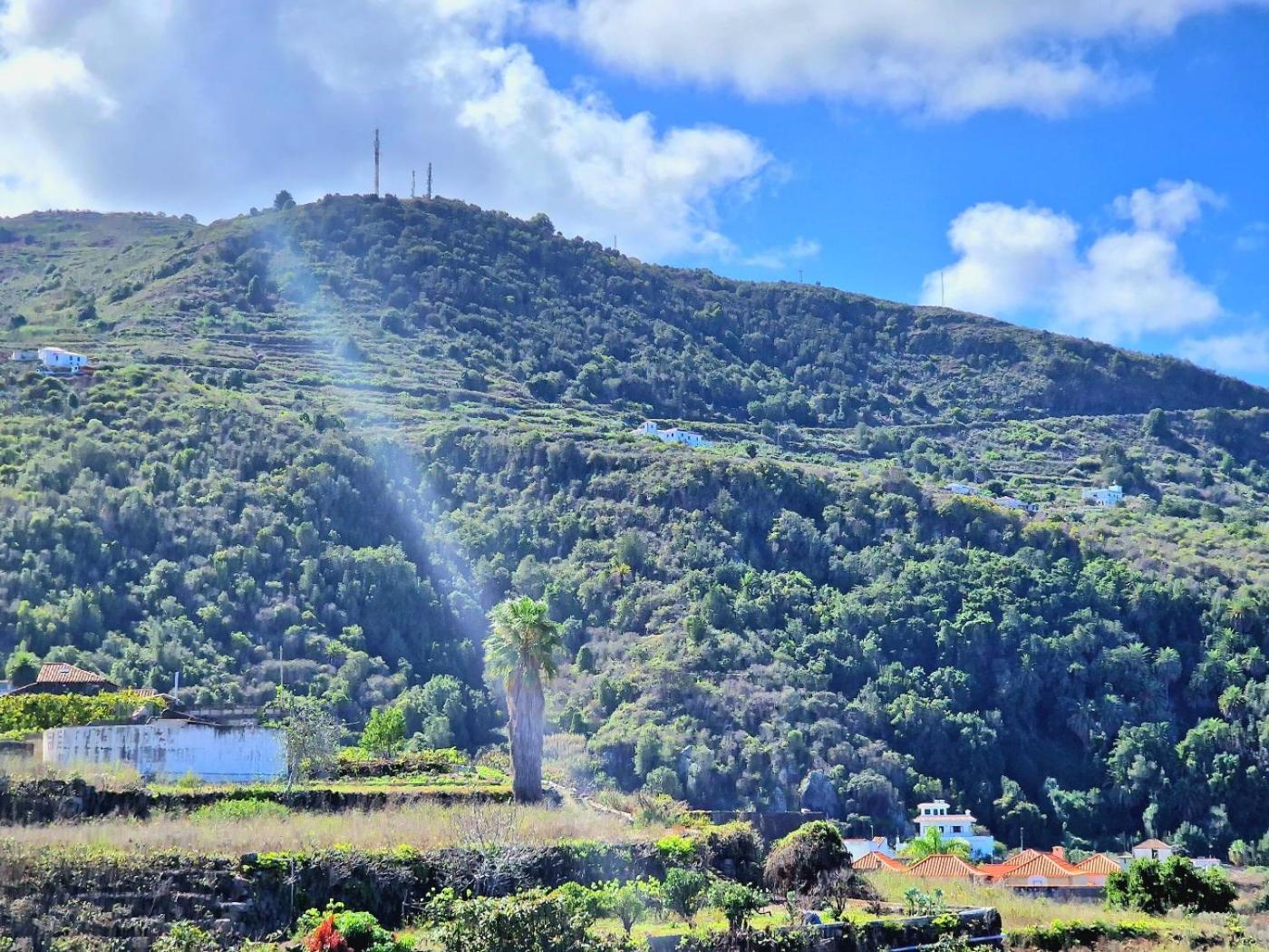Cozy House Casa De Los Abuelos In Icod De Los Vinos By Hrtenerife Net Esterno foto